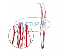 8075 ������ ������� 218p.jpg