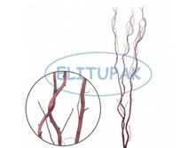 8105 ������ ������� 218p.jpg