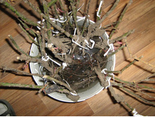 ������ ������