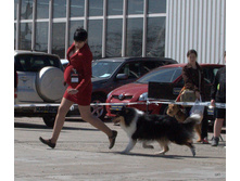 79-DSC_2701.jpg