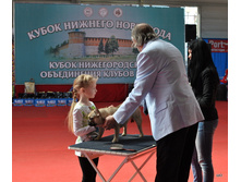 04-DSC_2442.JPG