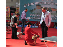 07-DSC_2547.JPG