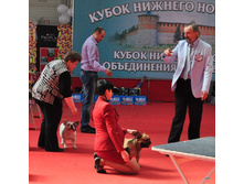08-DSC_2548.JPG