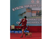 09-DSC_2549.JPG