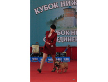 10-DSC_2550.JPG