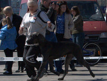 14-DSC_2554.jpg