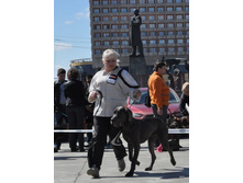 15-DSC_2555.jpg