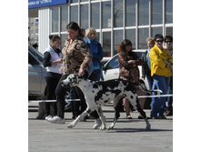 23-DSC_2567.jpg