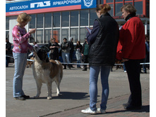 39-DSC_2591.jpg