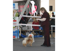 46-DSC_2603.jpg