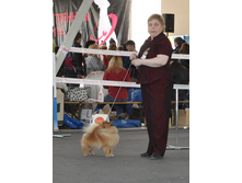 47-DSC_2604.jpg