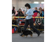 49-DSC_2606.jpg