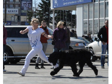 61-DSC_2637.jpg