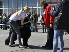 62-DSC_2639.jpg