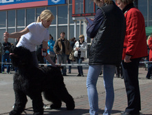 64-DSC_2650.jpg