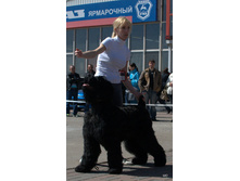 65-DSC_2652.jpg