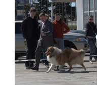 68-DSC_2662.jpg