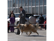 74-DSC_2679.jpg
