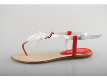 ���. Ascalini 780 ���.