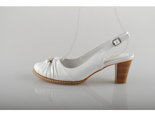 ���. Ascalini 975 ���.