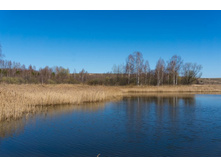 ����� (1 �� 1).jpg