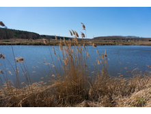 ������ (1 �� 1).jpg