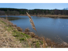 ������ (1 �� 1).jpg