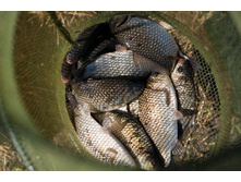 ���� (1 �� 1).jpg