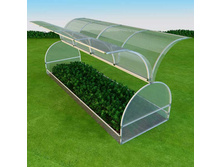 ������ ������.jpg