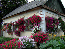 ��������� ������� �� ����.jpg