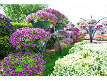 ������� �� �������.jpg