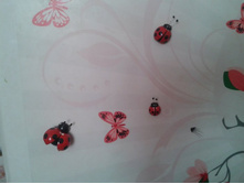 2013-05-04 11.42.38.jpg