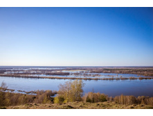 20130502-DSC08475.jpg