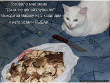 � ���� ������ - �����!