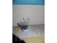 ������ �� ������.