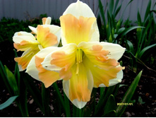 ������� 2.JPG