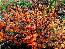 ������ ���������1.JPG