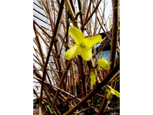 �������� ���������.JPG