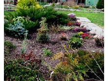 �����, �������-�������.JPG