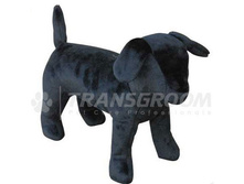 831-001 ������� � ���� �������� � ����������