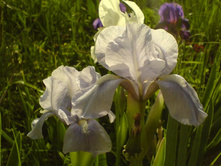 0�15-DSC00049 (1).JPG