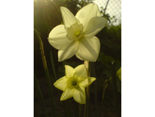 0�15-DSC00049 (2).JPG