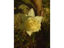 0�15-DSC00049 (3).JPG