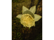 0�15-DSC00049 (4).JPG