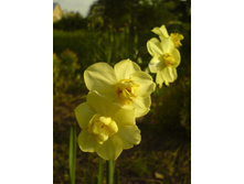 0�15-DSC00049 (5).JPG