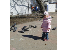 ����� 2013