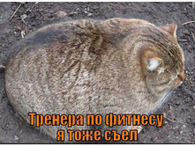 ������� �� ������� � ���� ����