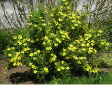 ���������� ���.jpg