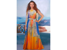 504-66 �����