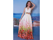 504-54 �����